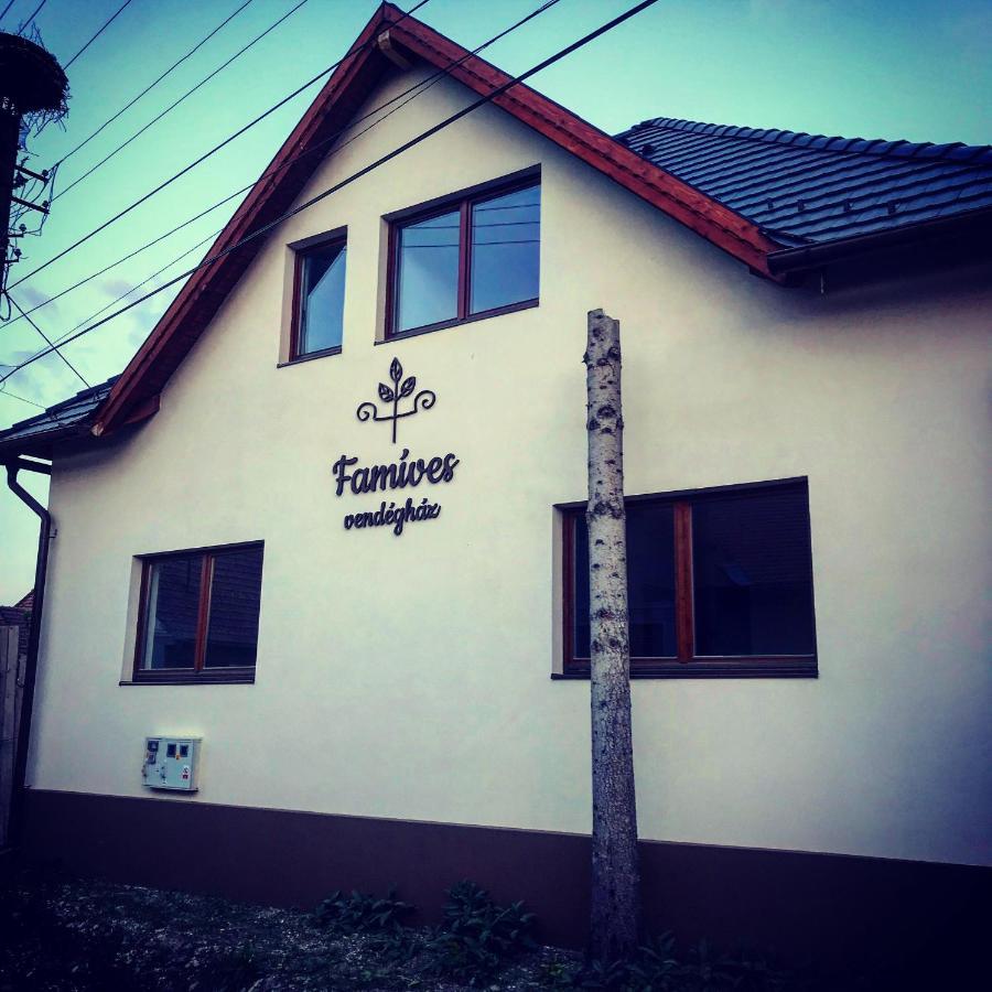 Famives Vendeghaz Bed & Breakfast Racu ภายนอก รูปภาพ