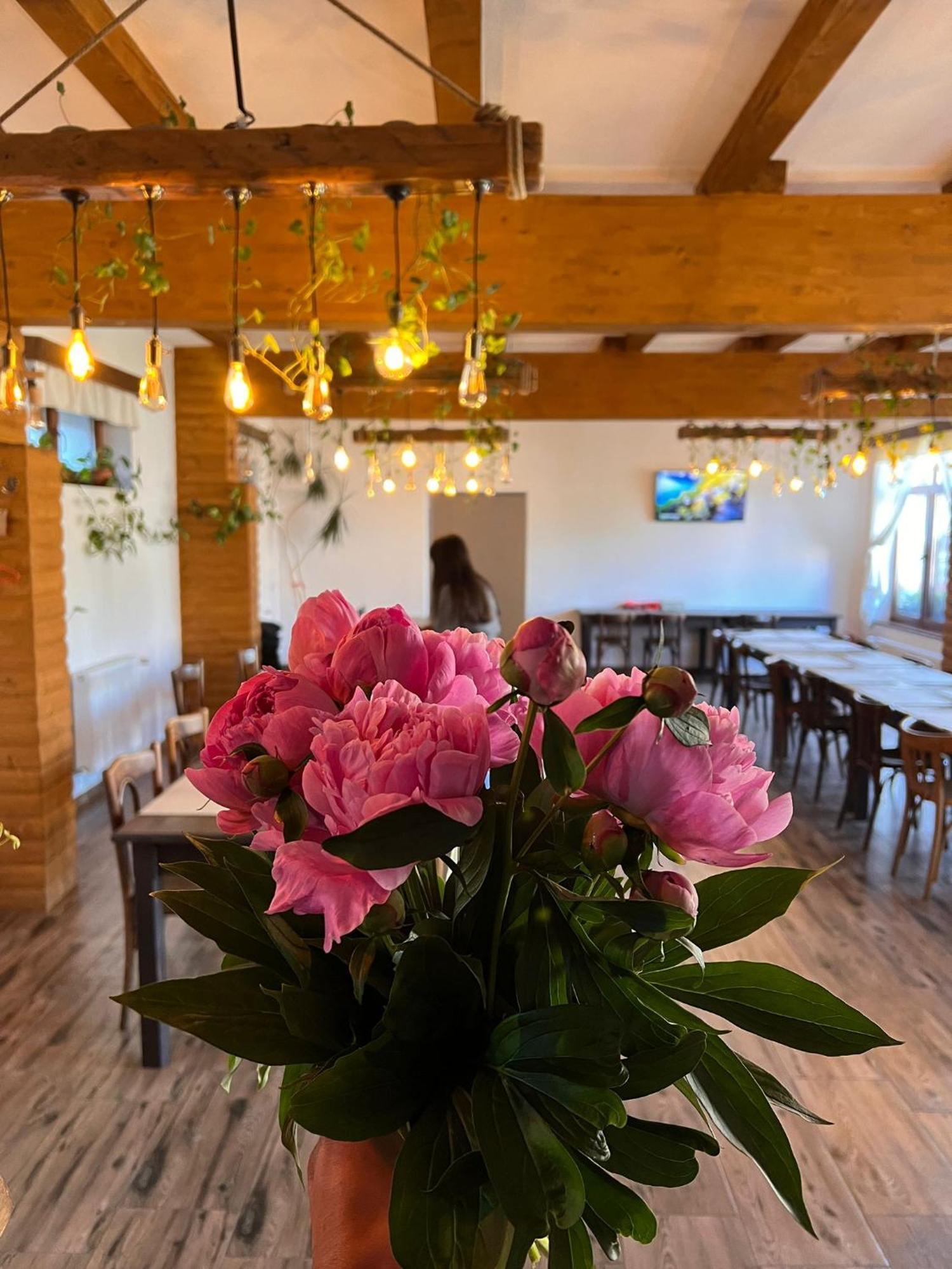 Famives Vendeghaz Bed & Breakfast Racu ภายนอก รูปภาพ